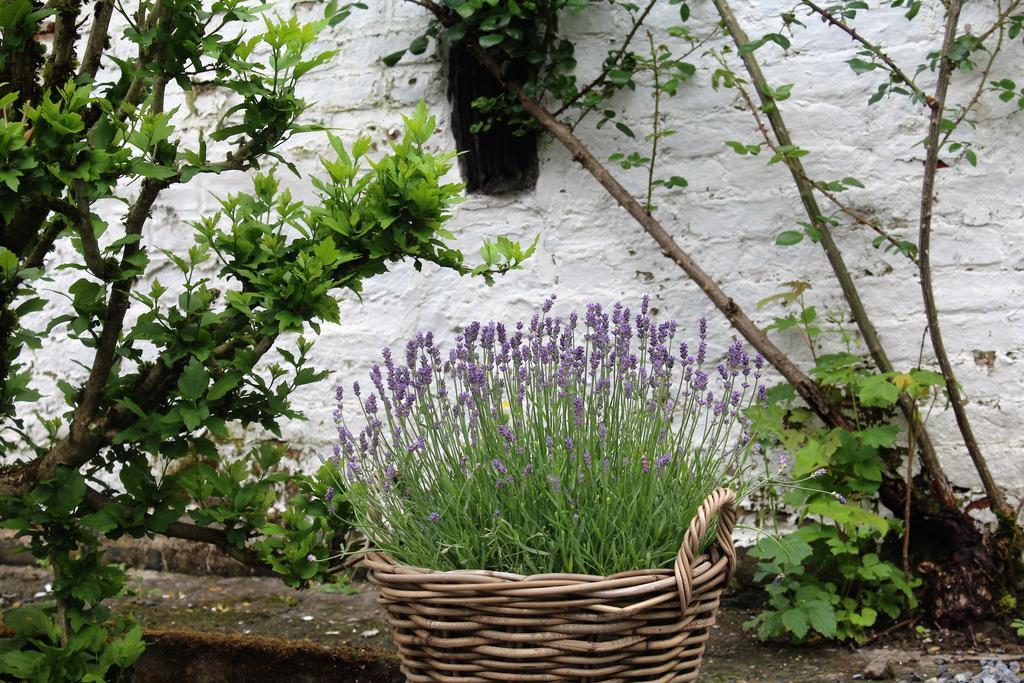 Le Neblon Insolite Ouffet Exterior photo
